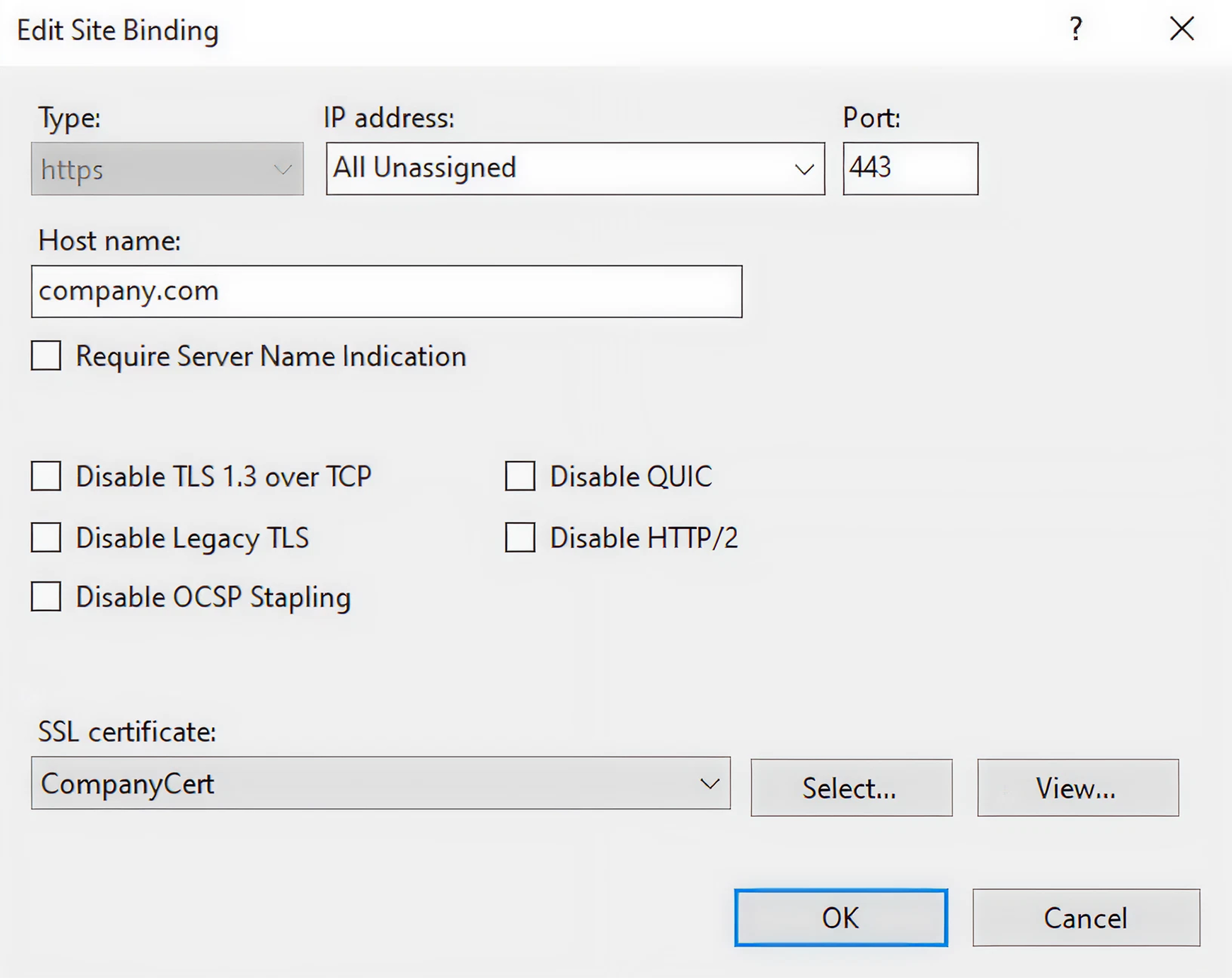 Configuration settings for SSL site binding, including hostname and certificate options.